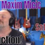 David Maxim Micic