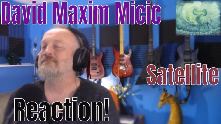 David Maxim Micic