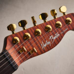 Harley Benton Fusion-T II HH RW HT PM review