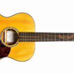 Martin Shawn Mendes 000-10E review 25 Martin Shawn Mendes 000-10E review