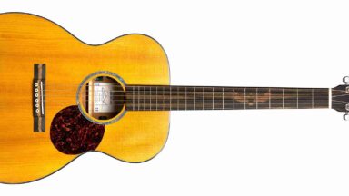 Martin Shawn Mendes 000-10E review