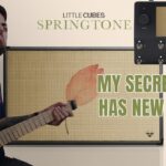 My TONE just leveled up | David Maxim Micic's NEW IR's 25 David Maxim Micic