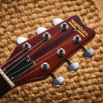 Washburn Hawk review | Guitar World