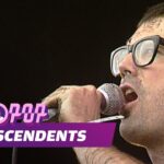 “You will not meet a punk-rock songwriter who doesn’t love the Descendants. They’re responsible for what’s so popular today”: The secret to Descendents’ seminal punk guitar sound and why Milo stood the test of time 27 “You will not meet a punk-rock songwriter who doesn’t love the Descendants. They’re responsible for what’s so popular today”: The secret to Descendents’ seminal punk guitar sound and why Milo stood the test of time