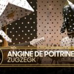 Angine de Poitrine make Tonight Show debut with new song