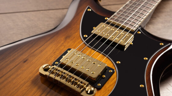 Gretsch gives Jet and CVT a limited run black limba refresh