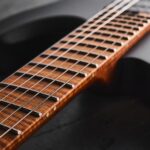 Harley Benton Fusion-T II EMG MN HT SBK review