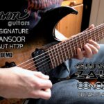 Misha Mansoor