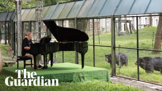 “It’s a well-known fact that all animals react to music, especially gentle melodic music": If you go down to the woods today… you might hear a prog legend playing a piano recital in a bear sanctuary