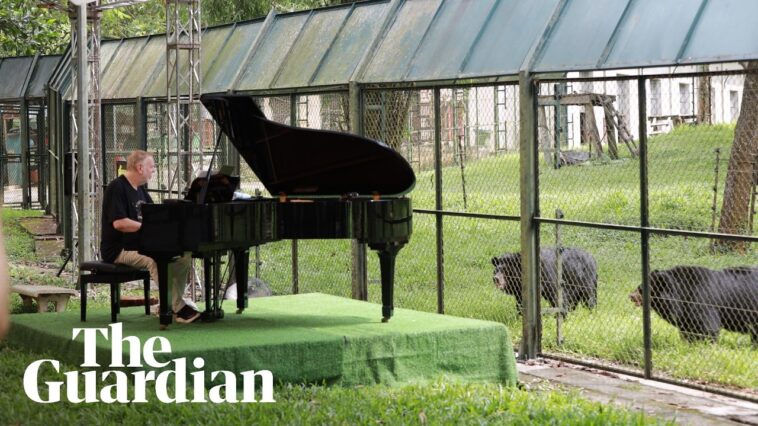 “It’s a well-known fact that all animals react to music, especially gentle melodic music": If you go down to the woods today… you might hear a prog legend playing a piano recital in a bear sanctuary