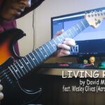 David Maxim Micic