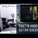 Marty Friedman